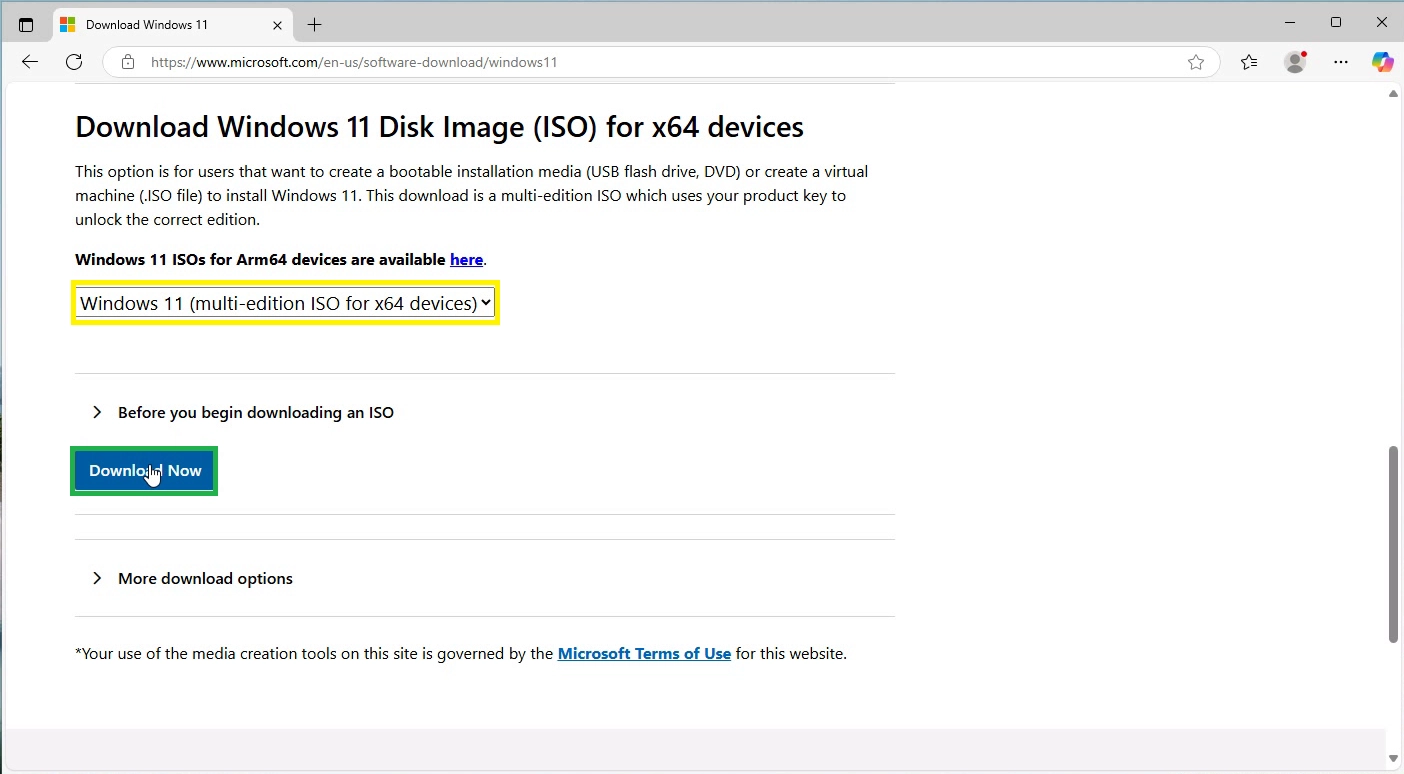 Select Windows 11 Disk Image
