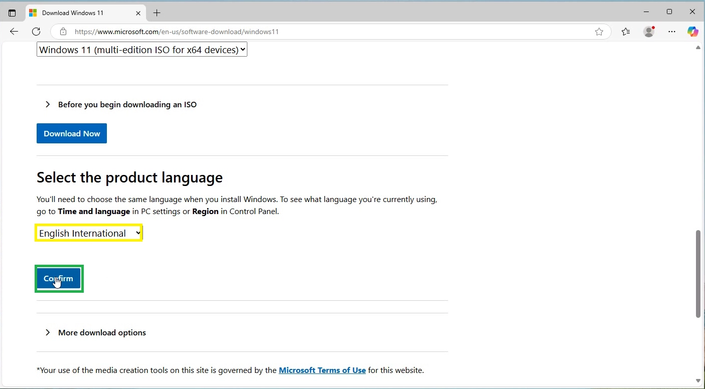 Windows 11 ISO Language